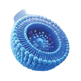 微信图片_20260826133137_13_36.png